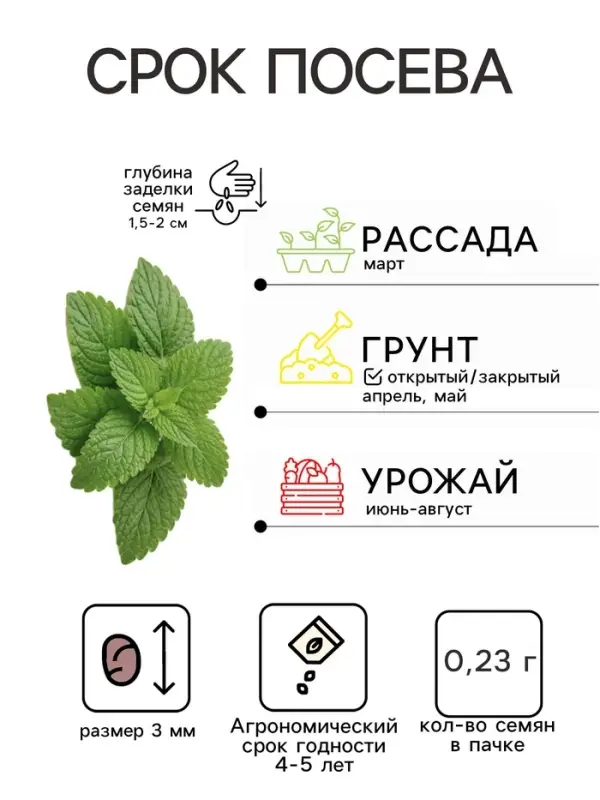 Семена Мята и мелисса &laquo;Набор для чая&raquo;, 0.23 г, смесь, &laquo;АгроСидсТрейд&raquo;