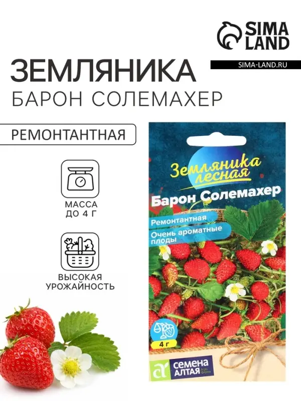 Семена Земляника &laquo;Барон Солемахер&raquo;, ремонтантная, 0.03 г, &laquo;Семена Алтая&raquo;