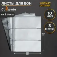 Набор листов для бон, формат &laquo;Оптима&raquo;, 10 листов 200&times;250 мм, на 3 боны