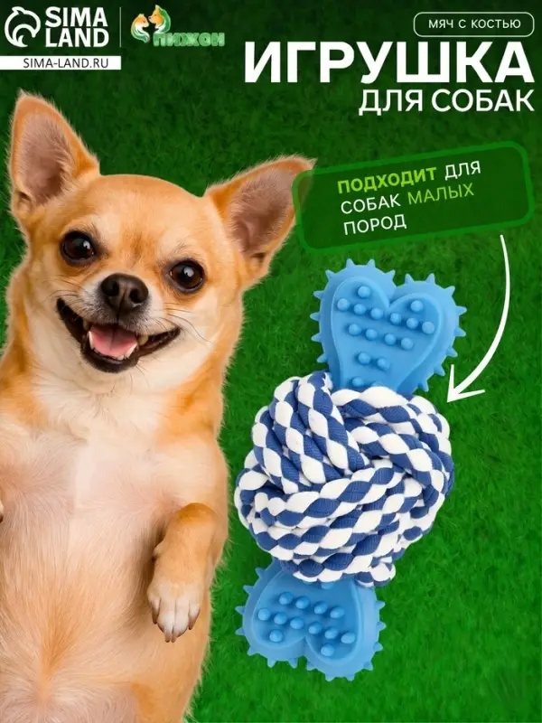 Игрушка для собак канатная &laquo;Мяч с костью&raquo;, до 11 см, до 55 г, синяя