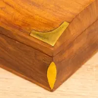 Шкатулка "Слон" 15,5х10х7 см, дерево шишам, латунь