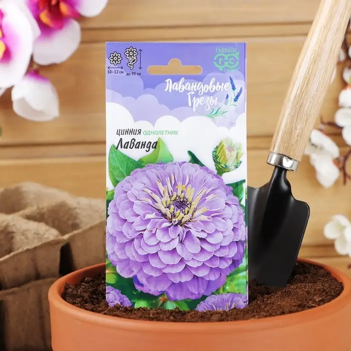 Семена цветов Цинния Лаванда Семена цветов Цинния Лаванда "Лавандовые грёзы", ц/п, 0,5 г