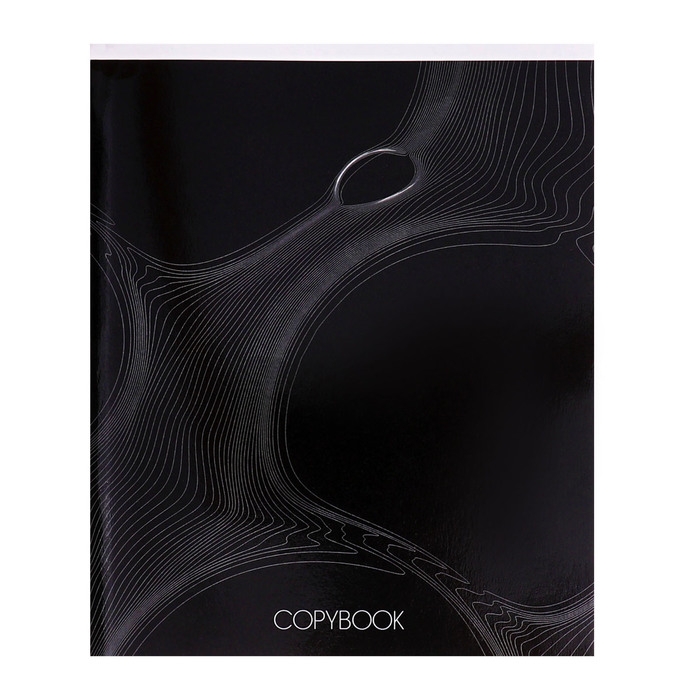 Тетрадь 96 листов в клетку Calligrata Тетрадь 96 листов в клетку Calligrata "Графика 2", обложка мелованный картон, глянцевая ламинация, блок офсет МИКС