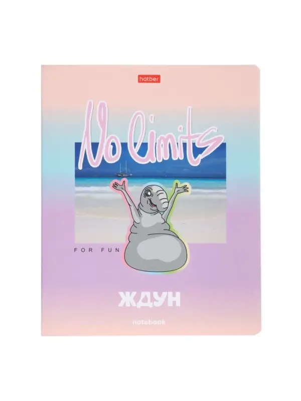 Тетрадь 48л кл Hatber Тетрадь 48л кл Hatber "ЖДУН", на скобе, скругл углы, мат лам, 60-65г/м² 5В МИКС