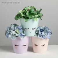 Набор кашпо для цветов 3 в 1 «Милые глазки», 0,8 л, 11 х 12 см Набор кашпо для цветов 3 в 1 «Милые глазки», 0,8 л, 11 х 12 см
