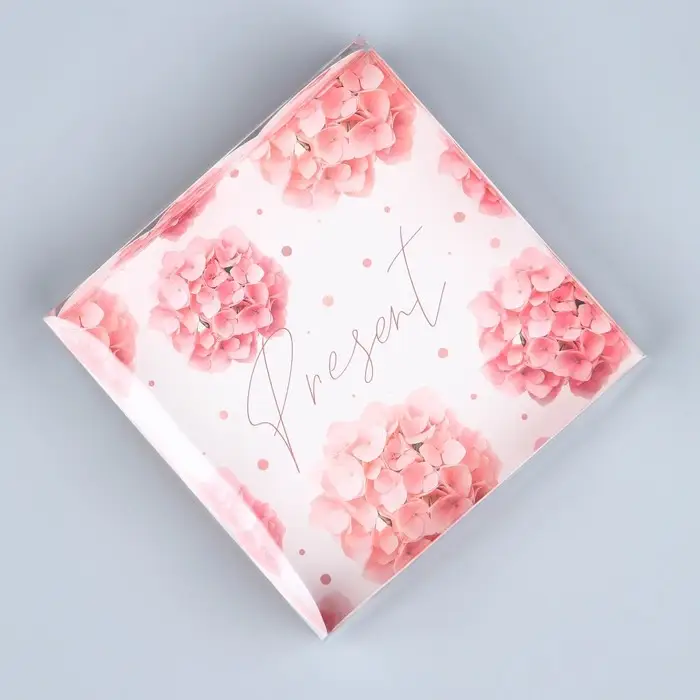 Коробка для печенья, кондитерская упаковка с пластиковой крышкой, Present, 10.5 х 10.5 х 3 см Коробка для печенья, кондитерская упаковка с пластиковой крышкой, Present, 10.5 х 10.5 х 3 см