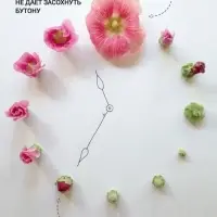 Удобрение для срезанных цветов "Срезка", 5г набор 1000шт