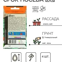 Семена огурца "Директор", F1, 4 шт.