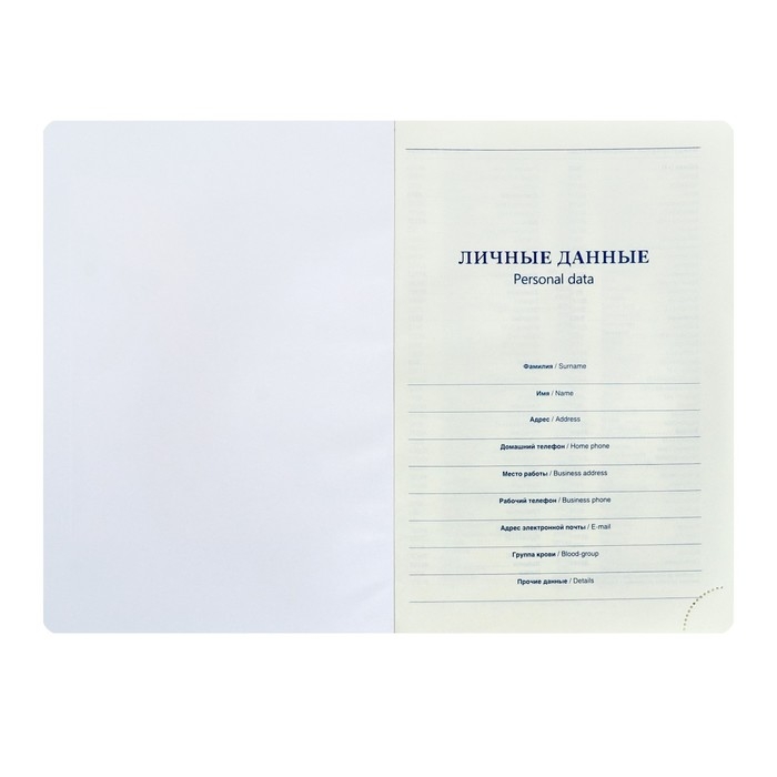 Ежедневник недатированный А5, 140 листов в клетку, с калькулятором, с хлястиком, обложка кожзам, МИКС Ежедневник недатированный А5, 140 листов в клетку, с калькулятором, с хлястиком, обложка кожзам, МИКС