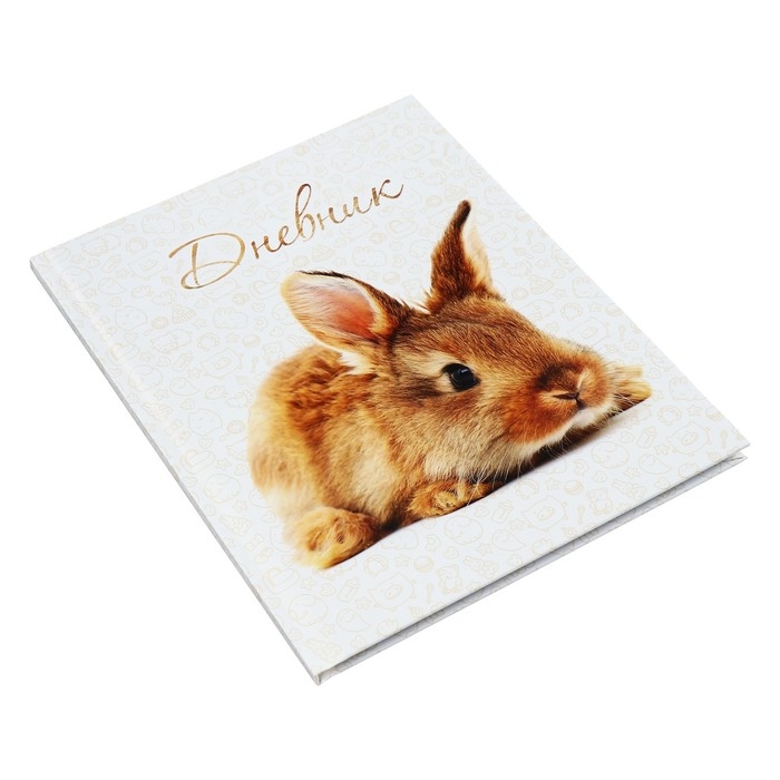 Дневник универсальный для 1-11 классов, "Заяц", твердая обложка 7БЦ, глянцевая ламинация, 40 листов