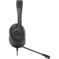 Гарнитура A4Tech Fstyler (FH100U (STONE BLACK)) черный 2м накладные USB