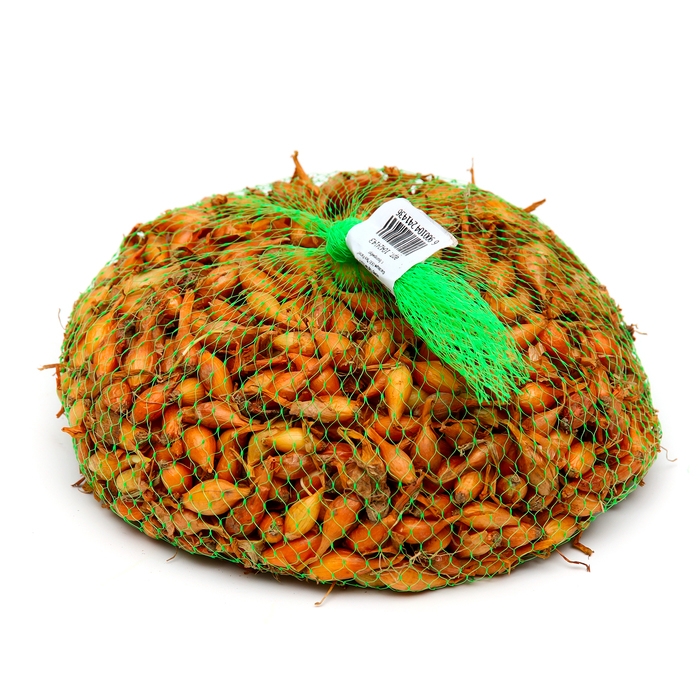 Лук севок Стурон , р-р 18-21, 0,5 кг, Весна 2025 Лук севок Стурон , р-р 18-21, 0,5 кг, Весна 2025