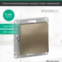 Выключатель одноклавишный ATLASDESIGN схема 1 10АХ механизм шампань