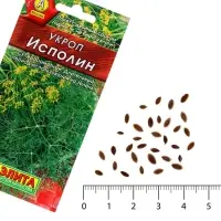 Семена Укроп "Исполин", 3 г