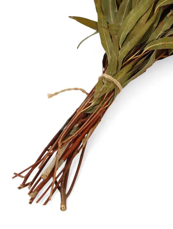 Веник для бани, эвкалиптовый, в еврослоте, &laquo;Добропаровъ&raquo;