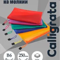 Папка-конверт на молнии В6, 250 мкм, с сеткой внутри, МИКС