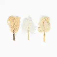 Сухоцвет Папоротник МИКС, 10 шт в упаковке