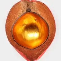 Чаша из кокоса, 19&times;22&times;10 см, красно-золотая