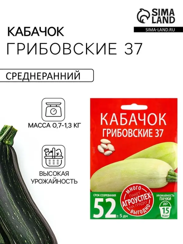 Семена Кабачок Грибовский 37 Агроуспех Много-Выгодно 10г (100)