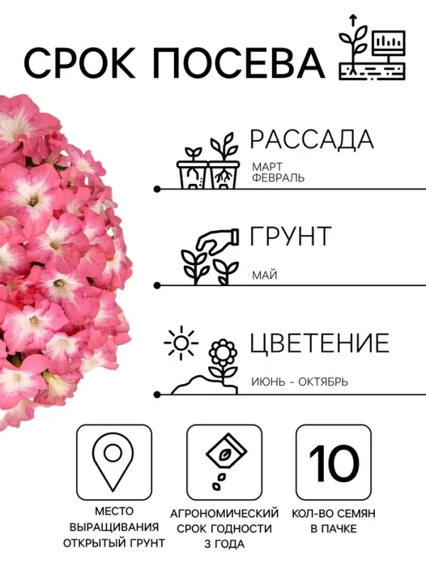 Семена Цветов Петуния крупноцветковая &laquo;Долина Розовых Грез F1&raquo;, 10 драже