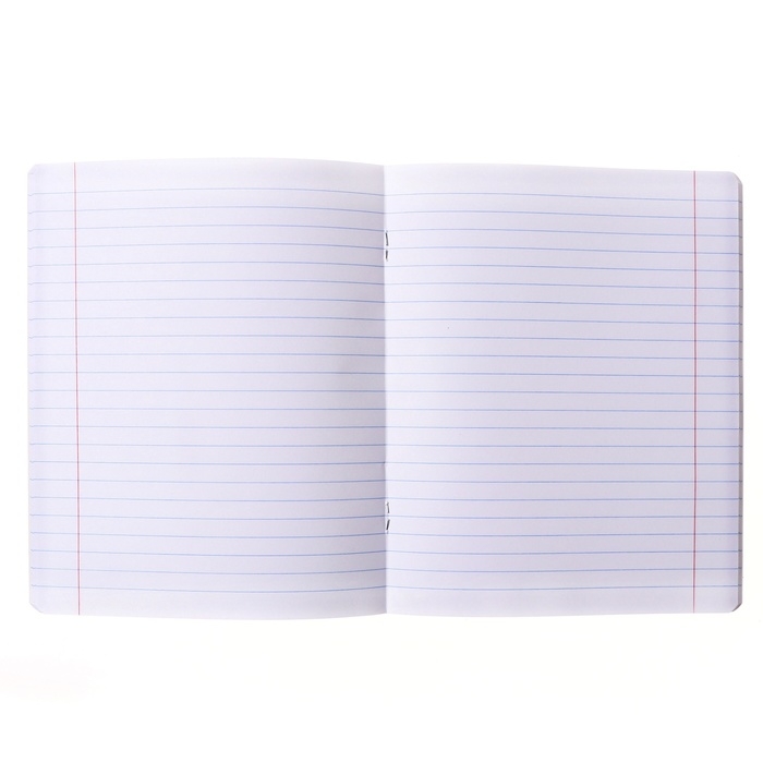 Тетрадь 40 листов, в линейку, на скобе "Цветы", обложка мелованный картон, МИКС