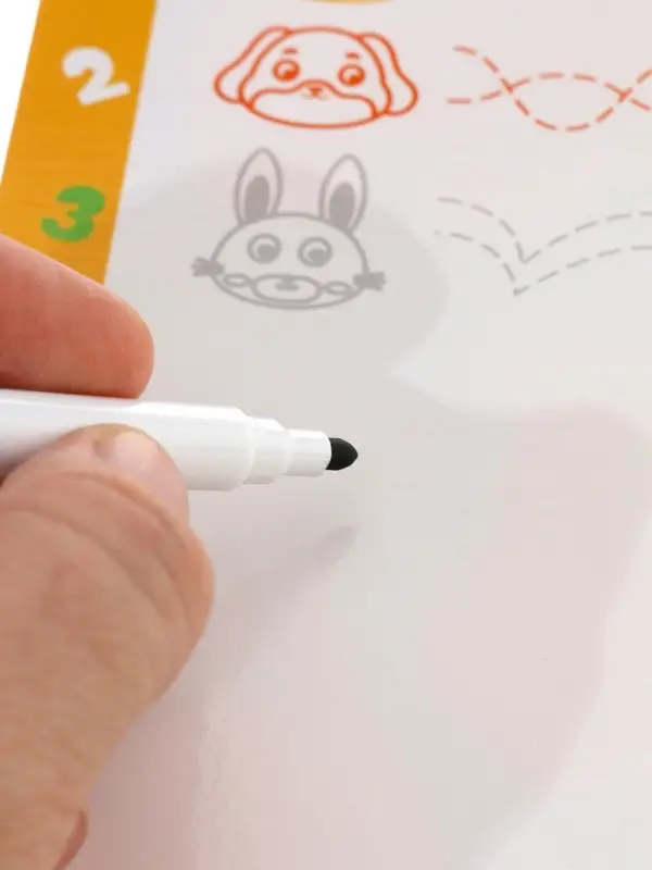 Деревянный сортер для детей &laquo;Животные&raquo;