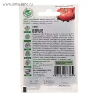 Семена Томат балконный «Взрыв», раннеспелый, детерминантный, 0.05 г, «ХИТ-Гавриш» Семена Томат балконный «Взрыв», раннеспелый, детерминантный, 0.05 г, «ХИТ-Гавриш»