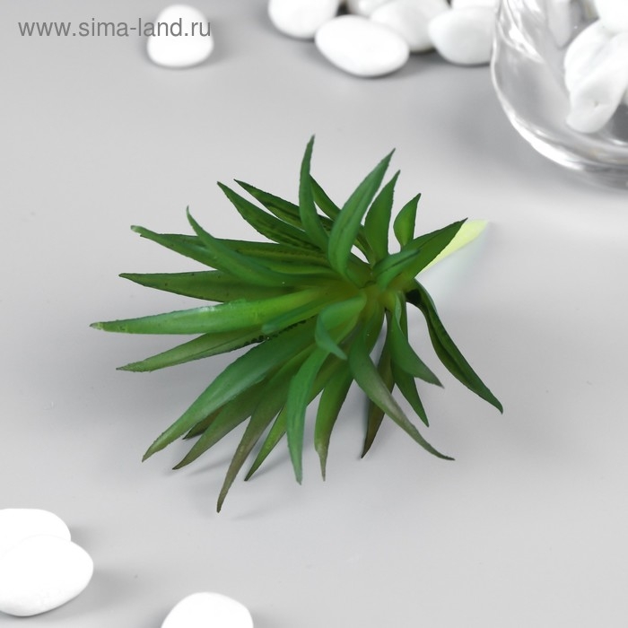 Искусственный суккулент для создания флорариума Искусственный суккулент для создания флорариума "Гастерия трехгранная" 7 см