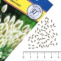 Семена цветов Лагурус &laquo;заячий хвостик&raquo;, однолетник, 10 шт.