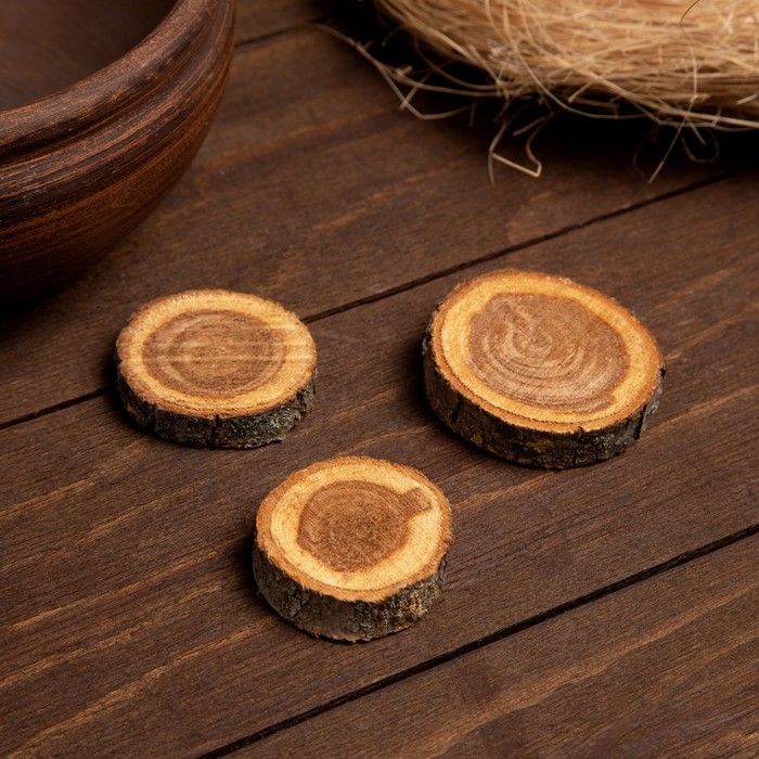 Набор спилов дуба 3шт 3х5х1см Набор спилов дуба 3шт 3х5х1см