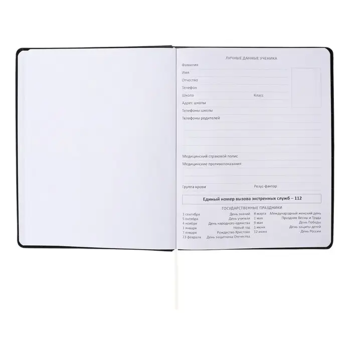 Дневник универсальный для 1-11 класса "Это шедевр", интегральная обложка, искусственная кожа, шелкография, ляссе, 80 г/м2