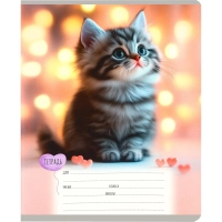 Тетрадь КЛЕТКА 12л. МИЛЫЕ КОТЯТА - 7  цвет. мелов.обл., асоорти 12-0912