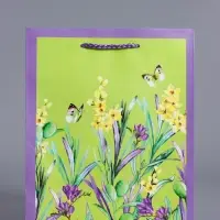 Пакет подарочный ламинированный, "Цветочное поле" 18 х 22,3 х 10 см