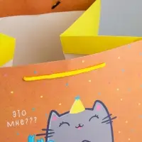 Пакет подарочный квадратный, упаковка, &laquo;Котик и тортик&raquo;, 30&times;30&times;30 см