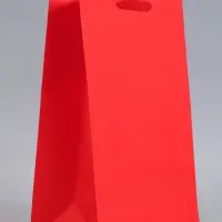 Пакет подарочный ламинированный, упаковка, &laquo;Красный&raquo;, L 31&times;40&times;11.5 см