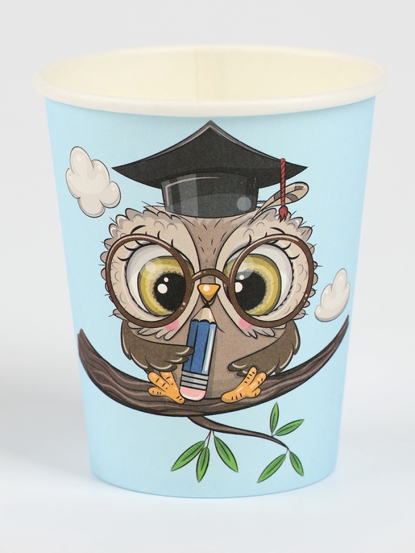 Набор бумажной посуды Набор бумажной посуды "Совушка", набор 12 шт.