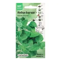 Набор семян Мята и мелисса "Набор для чая", 5 шт. Набор семян Мята и мелисса "Набор для чая", 5 шт.