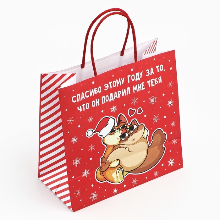 Пакет подарочный новогодний «Спасибо этому году», 22 х 22 х 11 см Пакет подарочный новогодний «Спасибо этому году», 22 х 22 х 11 см