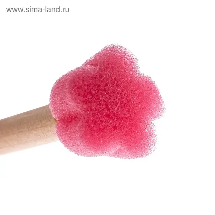 Набор кистей - спонжей, для рисования, 6 штук