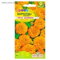 Семена цветов Бархатцы "Петит" Оранжевые, О, ц/п, 0,3 г. Семена цветов Бархатцы "Петит" Оранжевые, О, ц/п, 0,3 г.