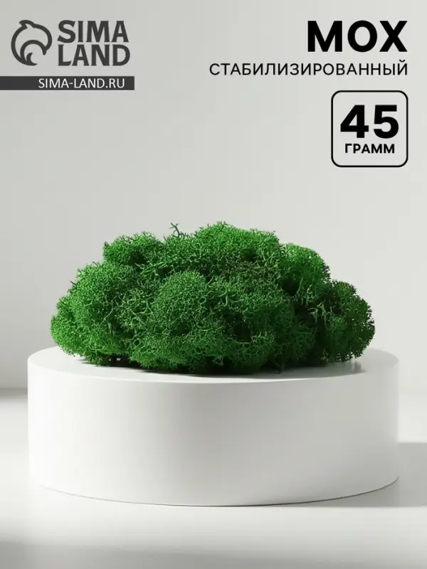 Мох стабилизированный &laquo;Зелёный&raquo; 45 г (&plusmn;5 г).