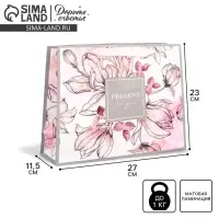 Пакет подарочный ламинированный, упаковка, &laquo;Present for you&raquo;, ML 27&times;23&times;11.5 см