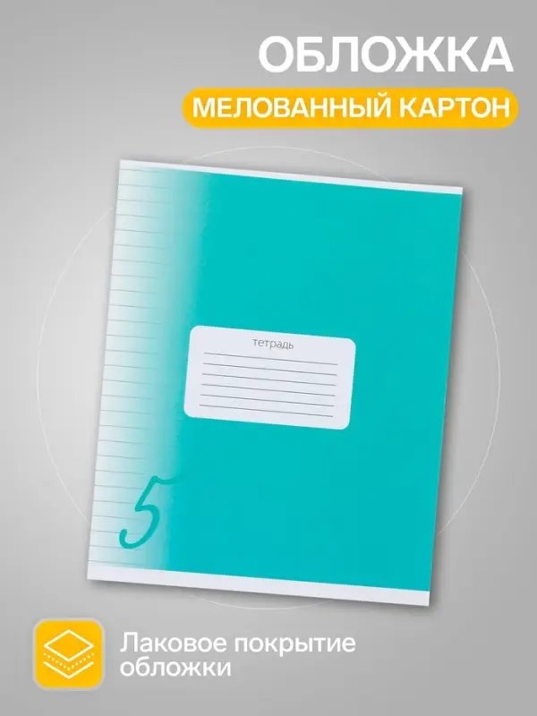 Комплект тетрадей из 10 штук, 24 листа в линию Calligrata "Пятёрка", обложка мелованный картон, ВД-лак, блок офсет, 5 видов по 2 штуки