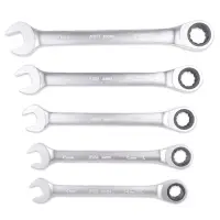 Набор ключей гаечных комбинированных трещоточных в пластике (8-19 мм) (11предметов) AVS K6N11P