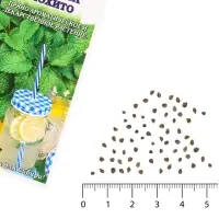 Семена Мелисса &laquo;Мохито&raquo;, многолетняя, 0.1 г, &laquo;Золотая Сотка Алтая&raquo;