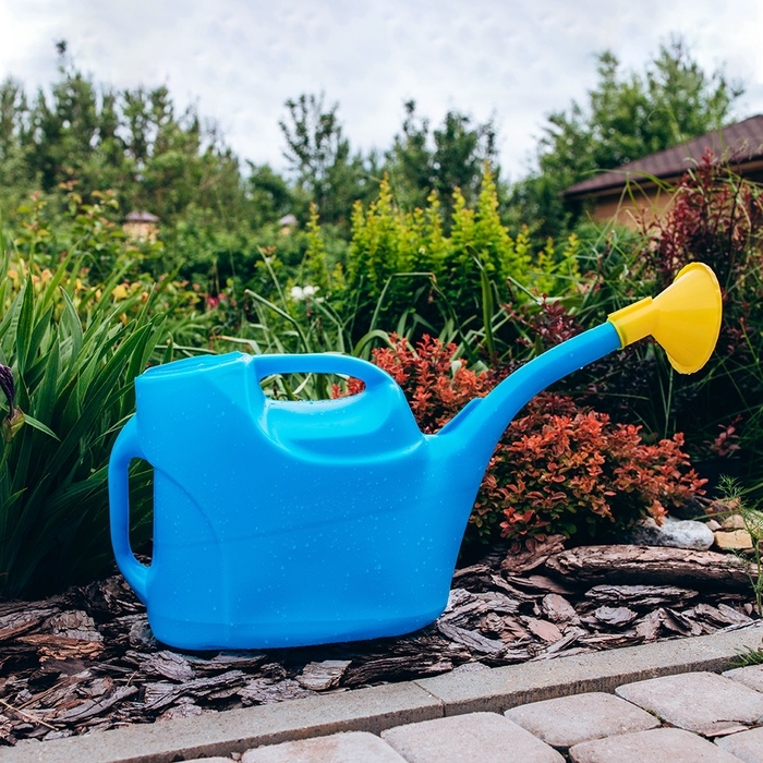 Лейка, 12 л, с рассеивателем, носик d = 30 мм, цвет МИКС Лейка, 12 л, с рассеивателем, носик d = 30 мм, цвет МИКС