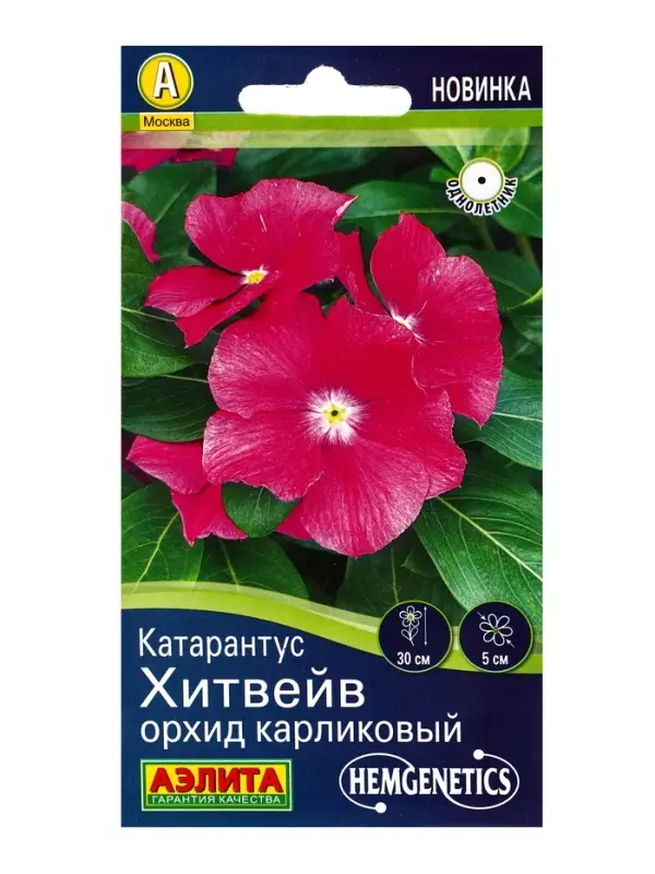 Семена цветов Катарантус Хитвейв орхид карликовый Спецсерия Hem Genetics, Ц/П,5 шт. Семена цветов Катарантус Хитвейв орхид карликовый Спецсерия Hem Genetics, Ц/П,5 шт.