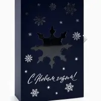 Коробка подарочная ‒ книга новогодняя &laquo;С новым годом&raquo;, 20&times;12.5&times;5 см