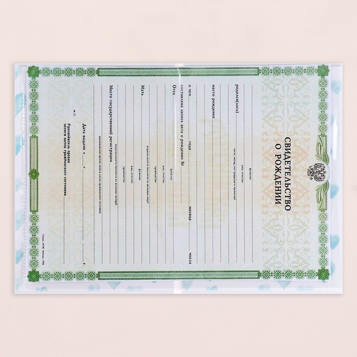 Папка под свидетельство о рождении Папка под свидетельство о рождении "Зайчик" голубой тон, А5