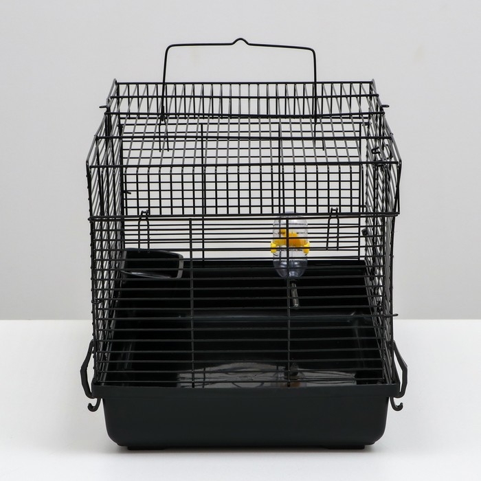 Клетка для грызунов Клетка для грызунов "Пижон", 47 х 30 х 30 см, чёрная